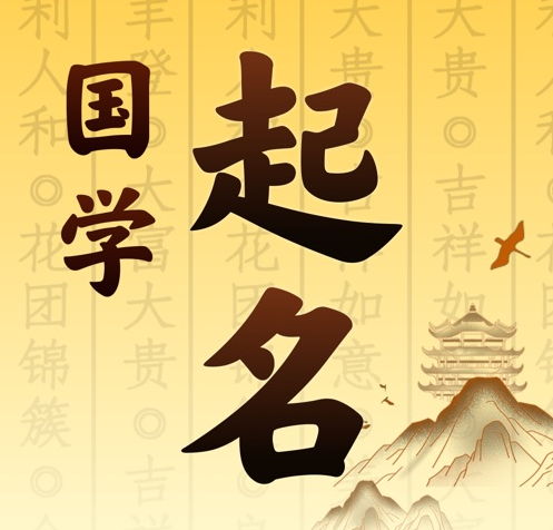 濮阳国学起名 人工起名一对一
